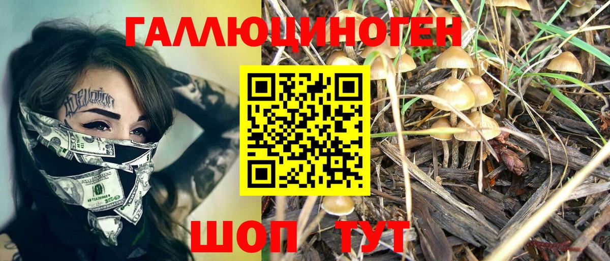 Галлюциногенные грибы мицелий Вышний Волочёк